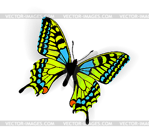 Бабочка - клипарт в векторном формате