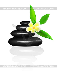 Spa stones and frangipani - vector image