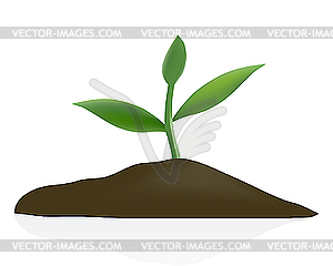 Молодые растения в темный грунт - векторное графическое изображение
