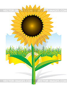 Beautiful sunflower background - stock vector clipart