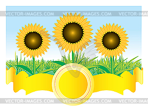 Beautiful sunflower background - vector image