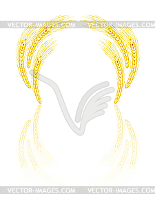 Yellow wheat - vector image