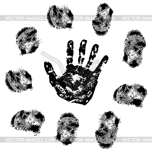 Fingerprint - vector clipart