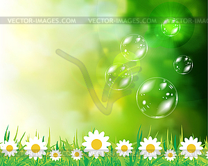 Soap bubbles on green natural background - vector clipart