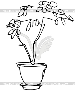 1 sketch room plant flower in pot - vector image