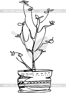 Sketch room plant flower in pot - vector clip art