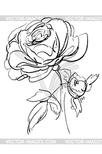 Sketch of rose - vector image