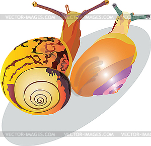 Snail crawling up - vector image