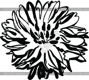 Flower - vector image