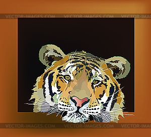 Tiger - vector image