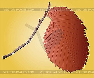 Leave on sprig - vector clipart