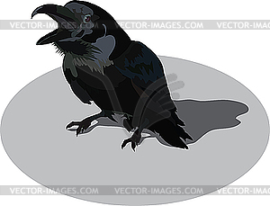 Raven - vector clip art