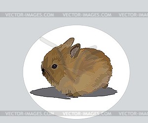 Rabbit - color vector clipart