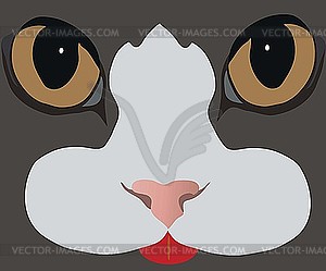 Cat`s eyes - vector clip art