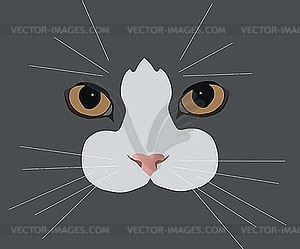 Cat's-eyes - vector clipart