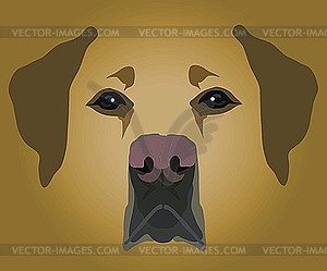 Muzzle of dog - vector image