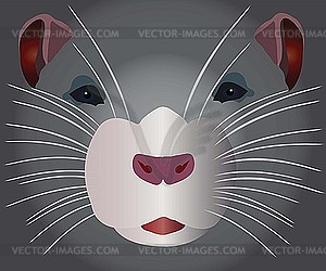 Grey rodent - vector image