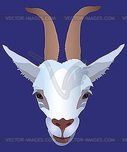 Goat - vector clipart / vector image