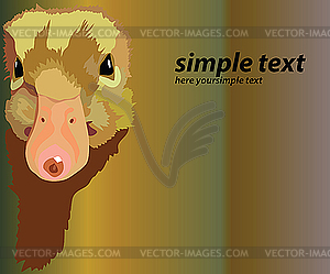 Of head of poultry of yellow big-nosed duck - vector image