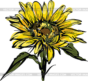 Yellow sunflower design - vector image