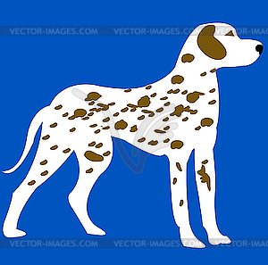 Dalmatian dog - vector clipart