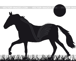 Silhouette of horse - vector clip art