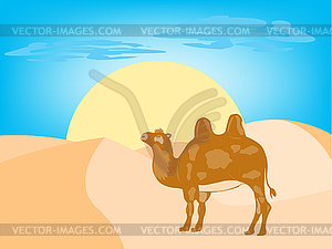 Camel in desert - vector clipart / vector image