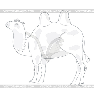 Drawing of camel - vector image