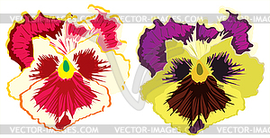 Flower pansy - vector clipart