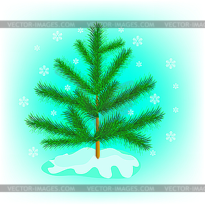 Small firtree in winter - vector clip art