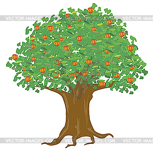 Apple tree - royalty-free vector image