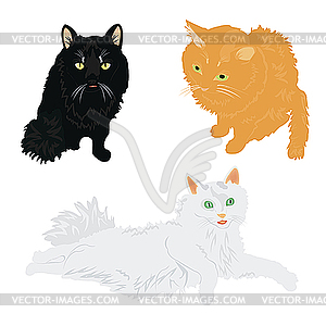 Cats of various colours - vector clipart