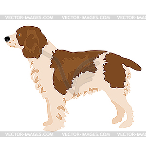 Dog  - vector EPS clipart