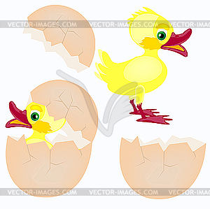 Egg and newborn chicken - vector clipart