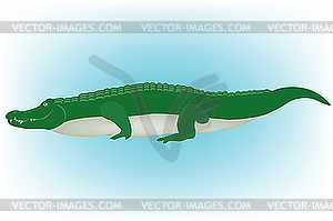 Crocodile - vector image