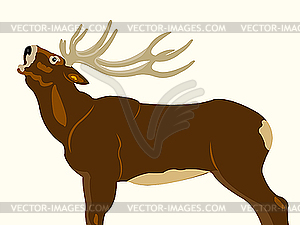 Wild deer - vector clipart