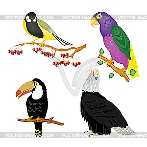 Birds - vector image