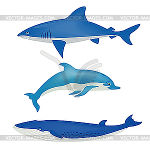 Sea animals - vector image
