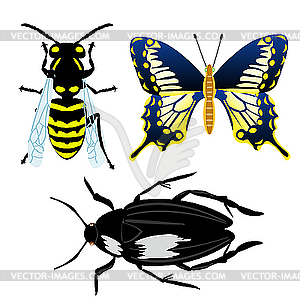 Insects - vector clip art