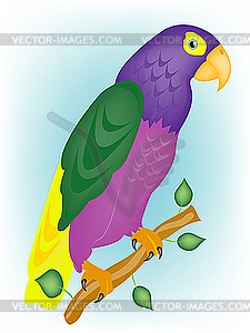 Varicoloured parrot on branch - vector image