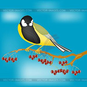 Small bird on branch with berries - stock vector clipart