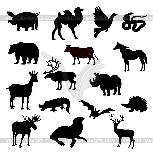 Silhouettes of animals - vector image