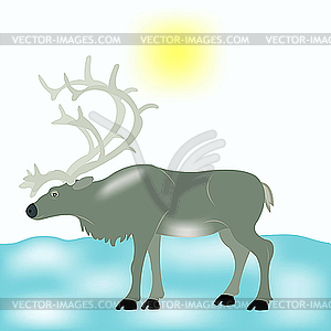 Reindeer in tundra - vector clipart / vector image