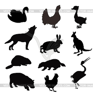 Silhouettes of the beasts and birds - vector image