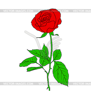 One red Rose in style - vector clipart