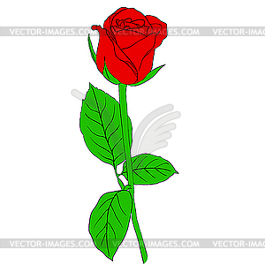 Красная роза - векторный клипарт / векторное изображение