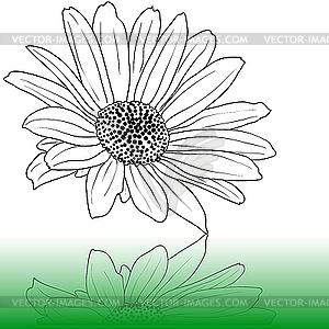 Flower sketch - vector clipart
