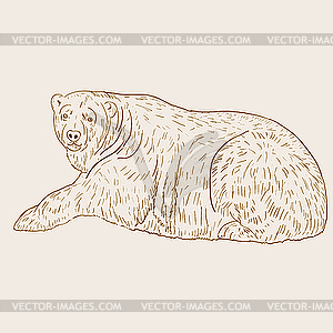 White Polar Bear.. - vector image