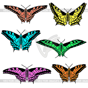 Set of beautiful butterflies. - vector clip art