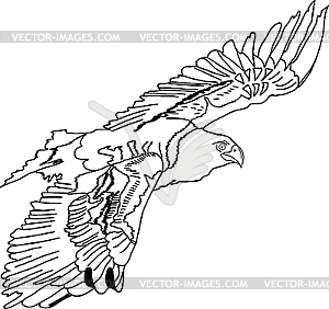 Black silhouette swooping Tattoo egle - vector clip art